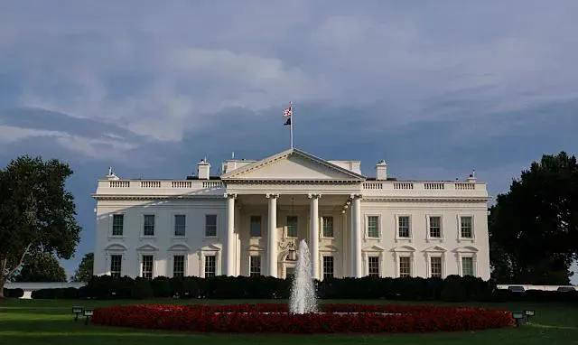 只需购买派, 喜爱搏击比