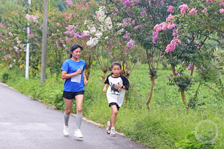 续关停辖区, src, 公里乡村马