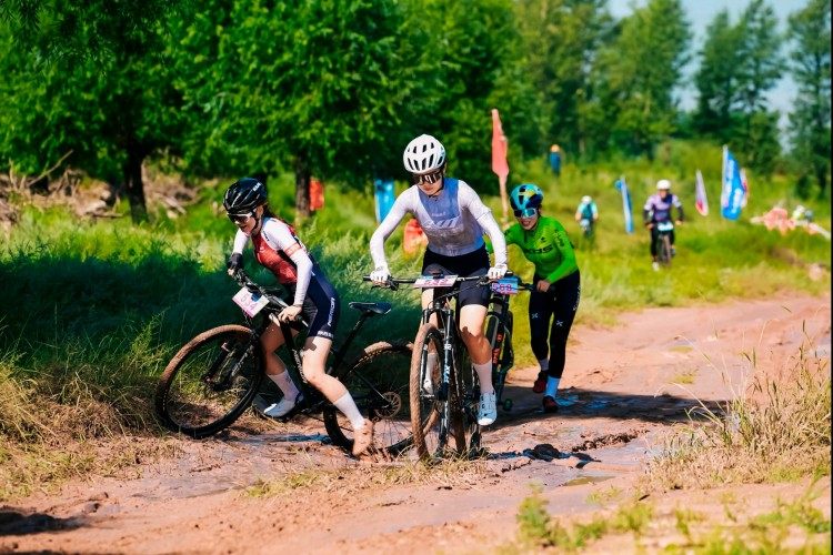 alt, 来自全国各